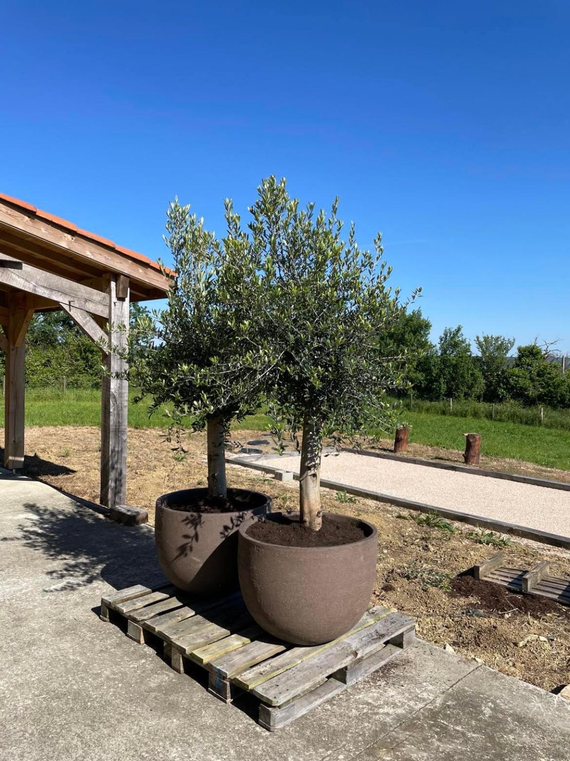 Maison Cabet Castelnavet Extérieur photo